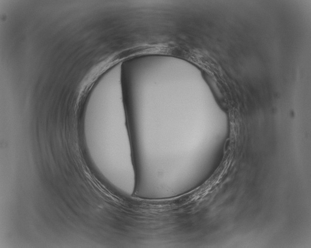 X0000070190149200605261013