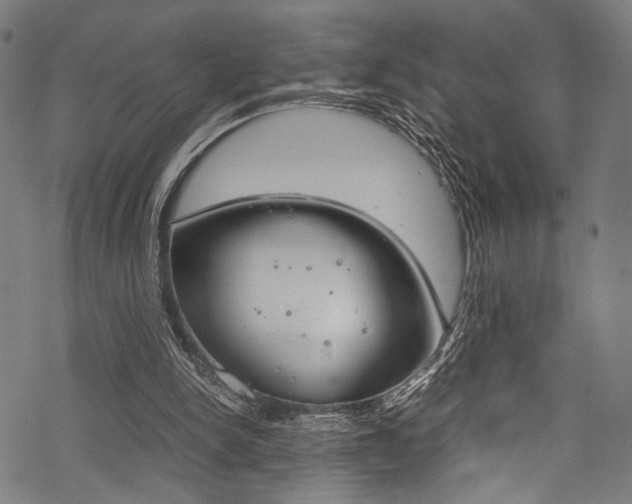 X0000070190150200605261013