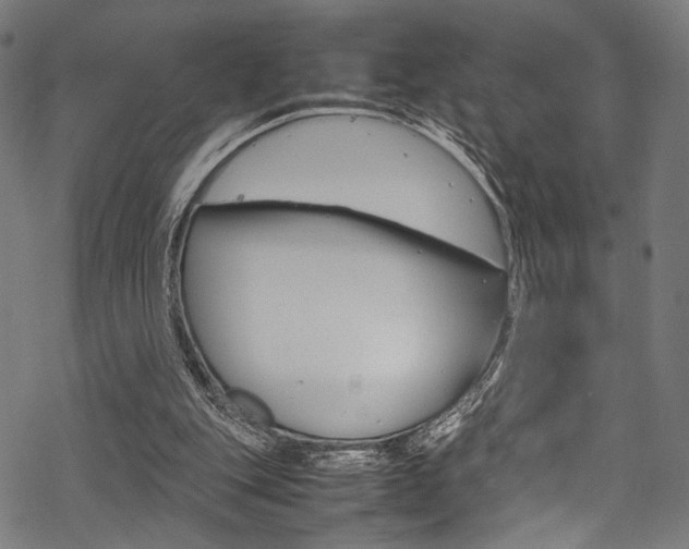 X0000070190151200605261013