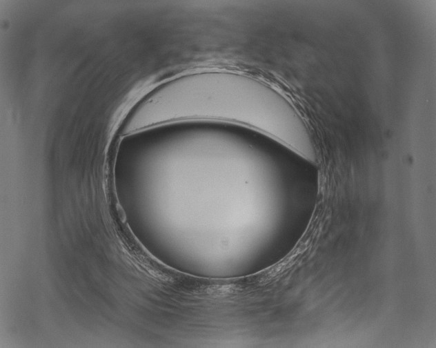 X0000070190152200605261013