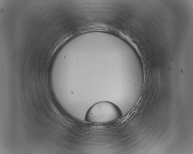 X0000070190154200605261013