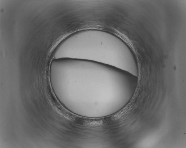 X0000070190155200605261013