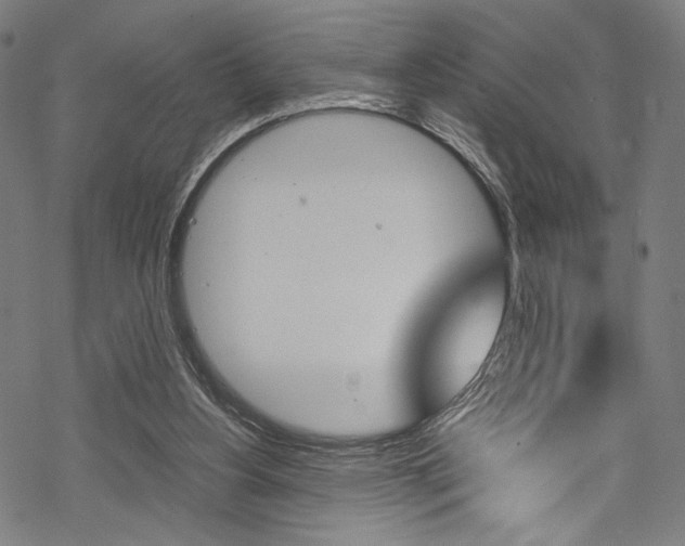 X0000070190156200605261013