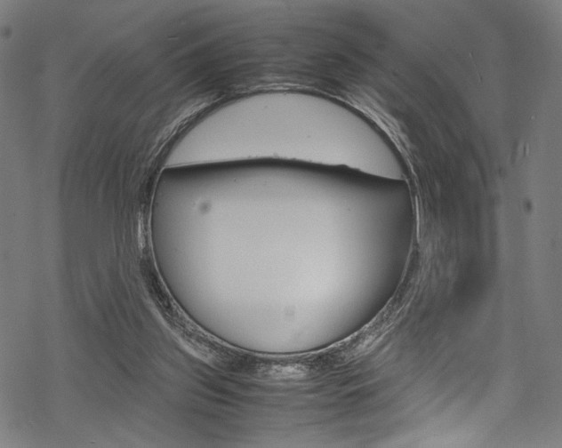 X0000070190157200605261013