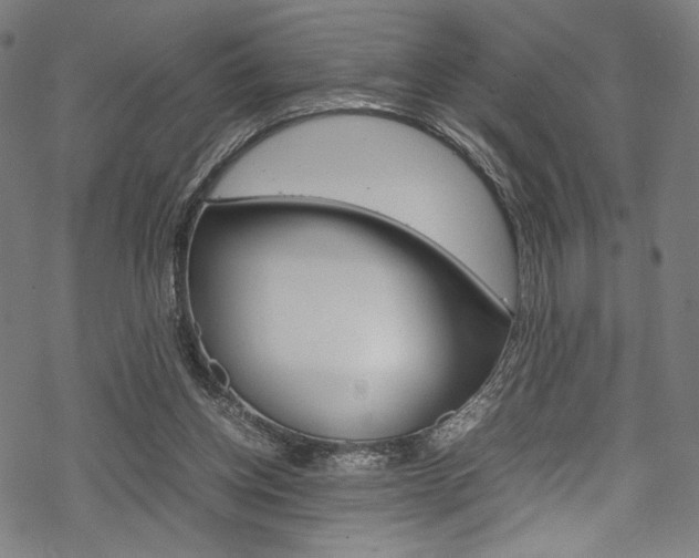 X0000070190158200605261013