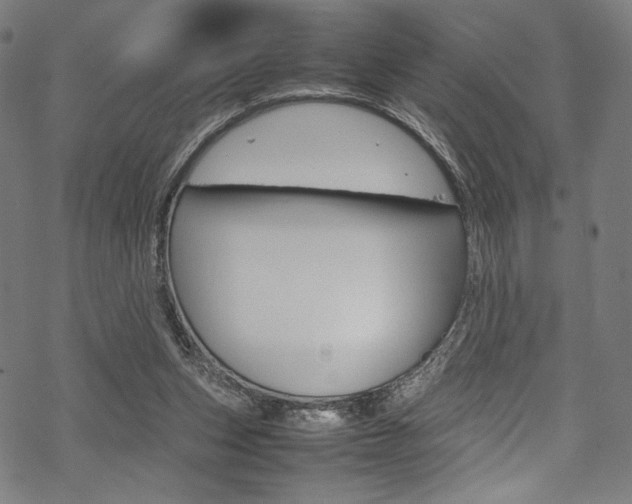 X0000070190159200605261013