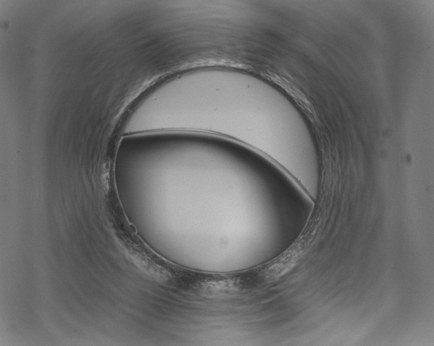 X0000070190160200605261013