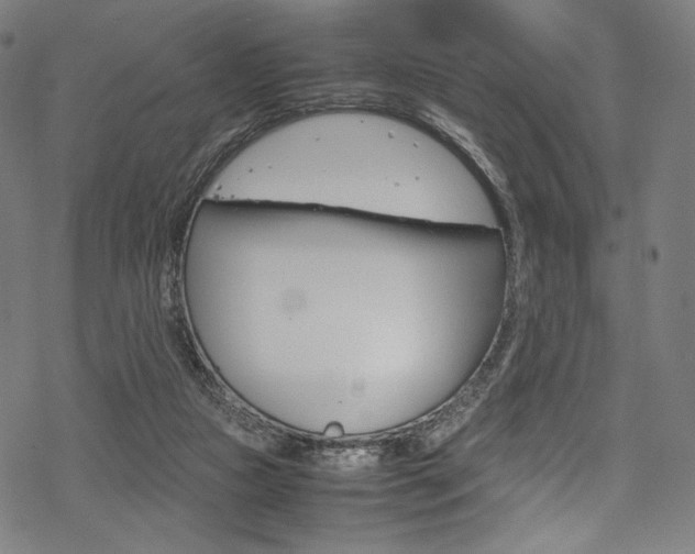 X0000070190161200605261013