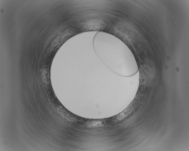 X0000070190162200605261013