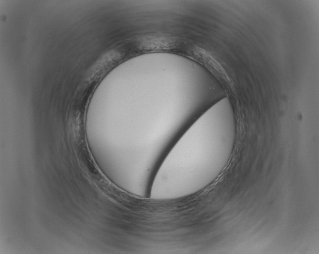 X0000070190163200605261013