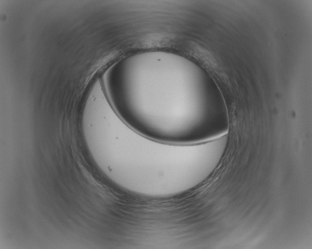 X0000070190164200605261013