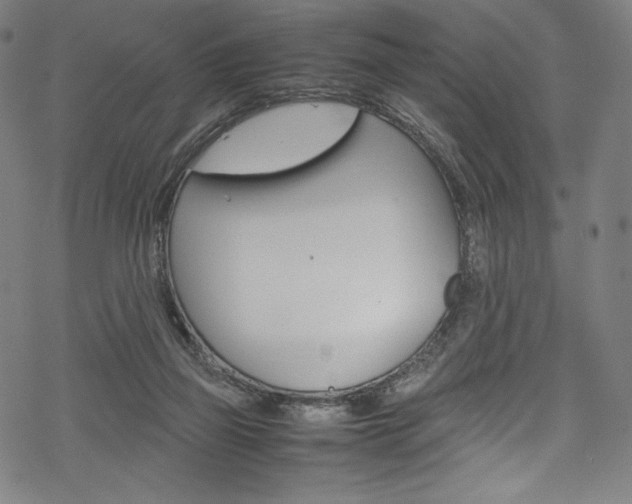 X0000070190165200605261013