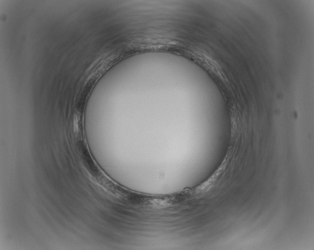 X0000070190166200605261013