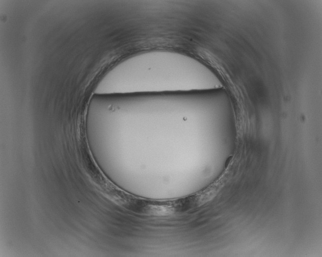 X0000070190167200605261013