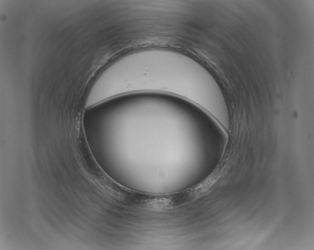 X0000070190168200605261013