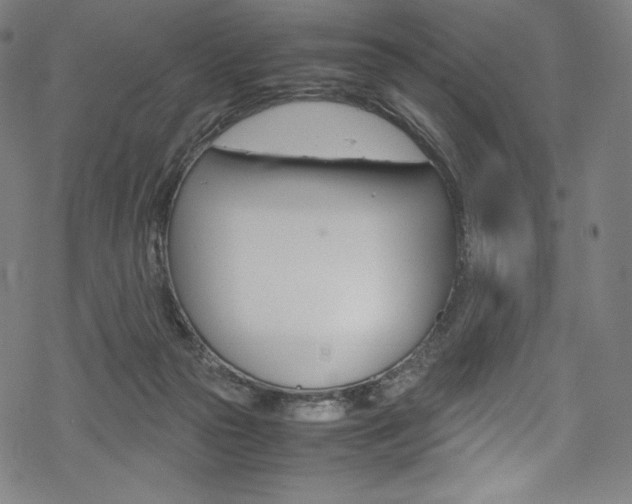 X0000070190169200605261013