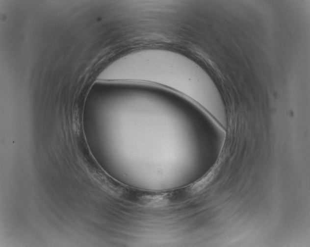 X0000070190170200605261013