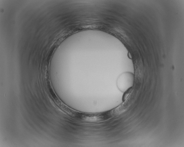 X0000070190171200605261014