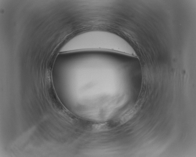 X0000070190172200605261014