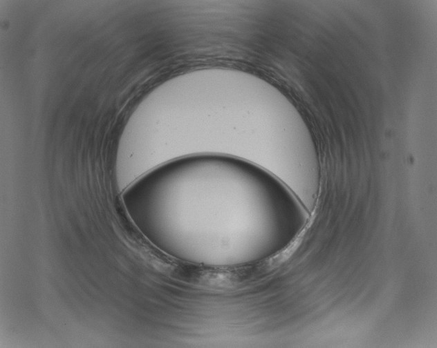 X0000070190174200605261014