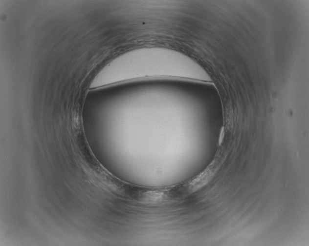 X0000070190176200605261014