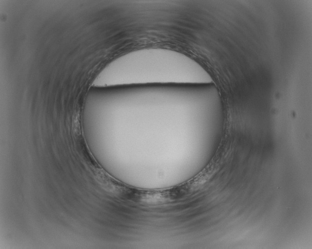 X0000070190177200605261014