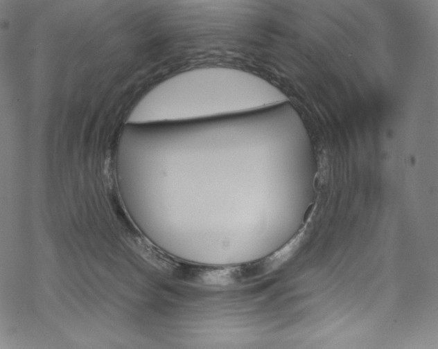 X0000070190178200605261014