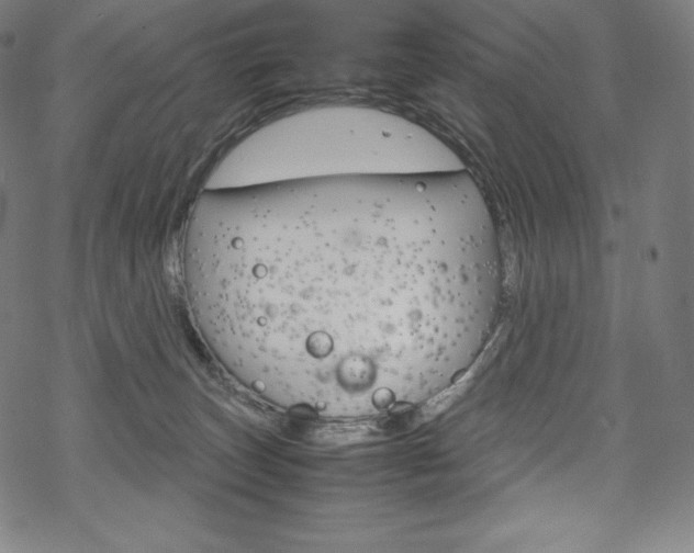 X0000070190179200605261014