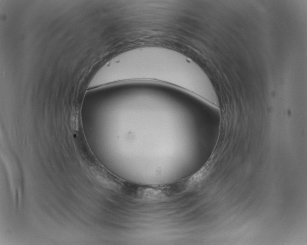 X0000070190180200605261014