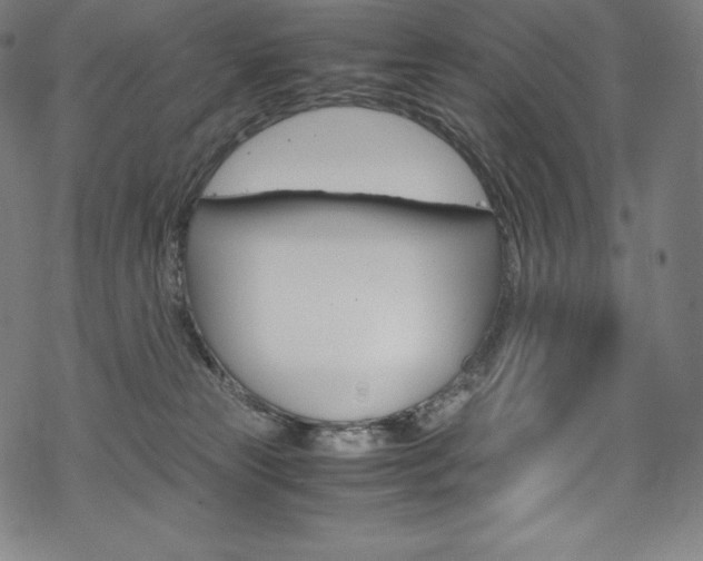 X0000070190181200605261014