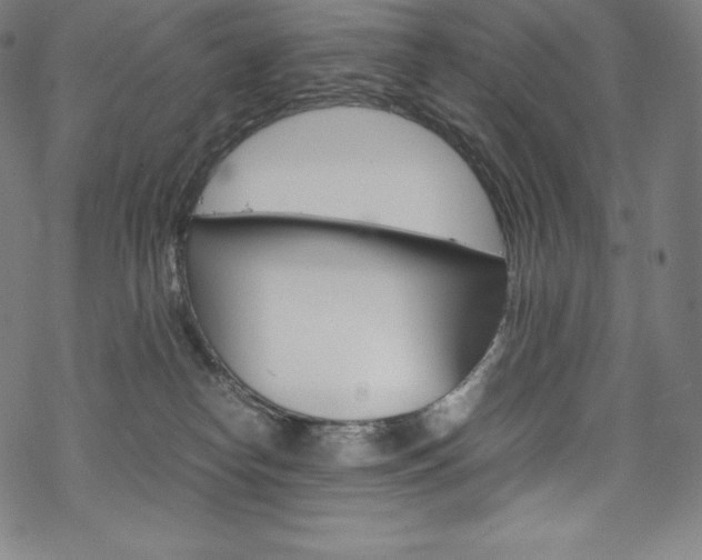 X0000070190182200605261014