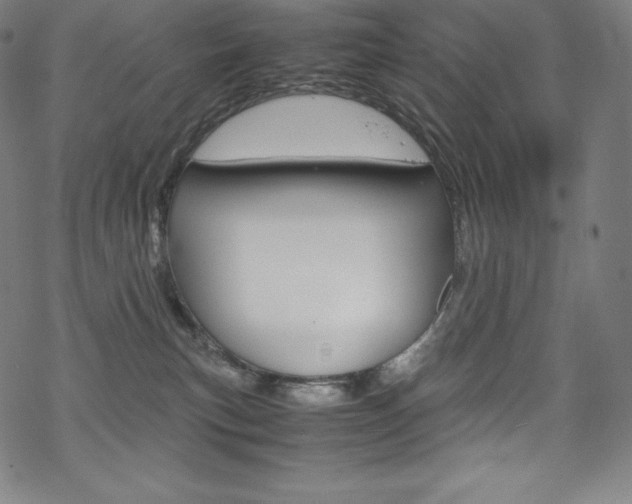 X0000070190183200605261014