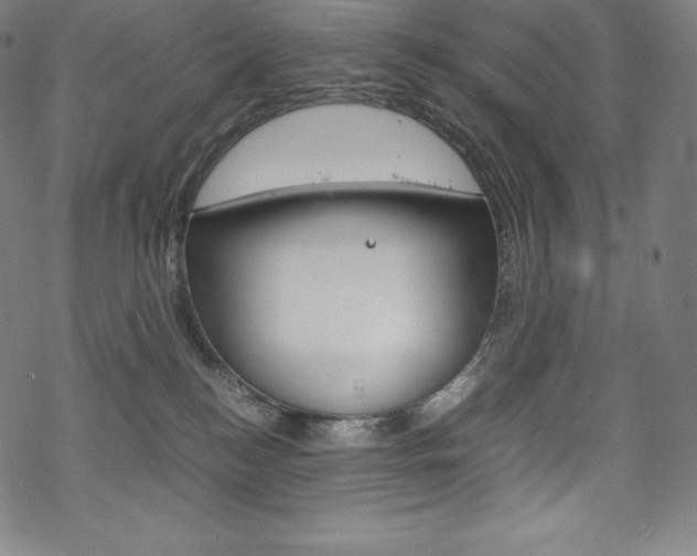 X0000070190184200605261014