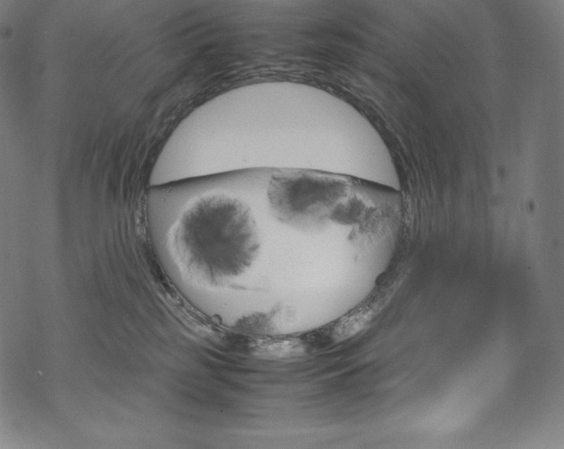 X0000070190185200605261014