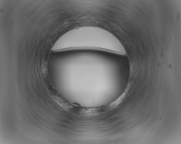 X0000070190186200605261014