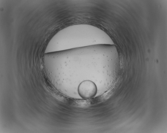 X0000070190187200605261014