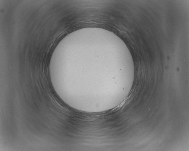 X0000070190188200605261014