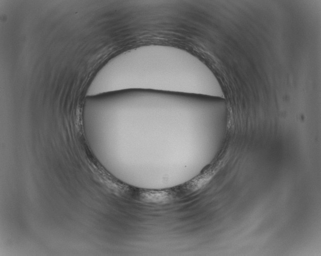 X0000070190189200605261014