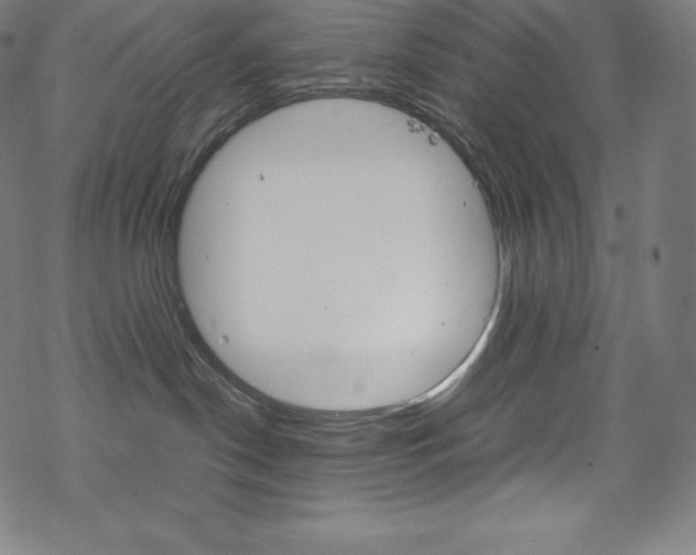 X0000070190190200605261014