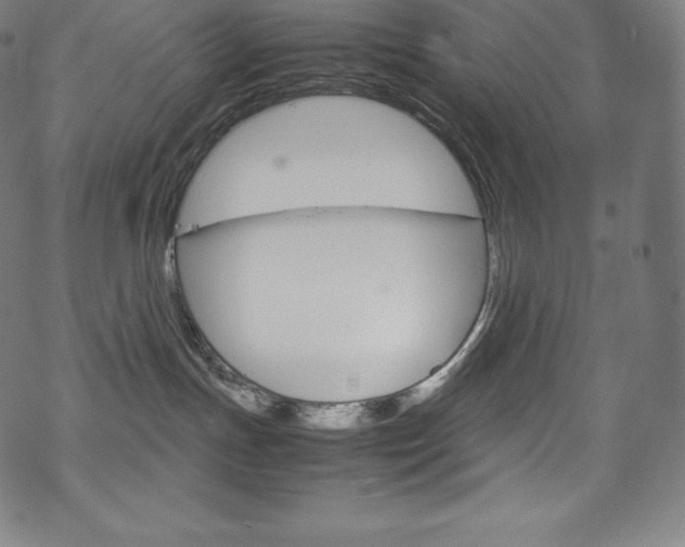 X0000070190191200605261014