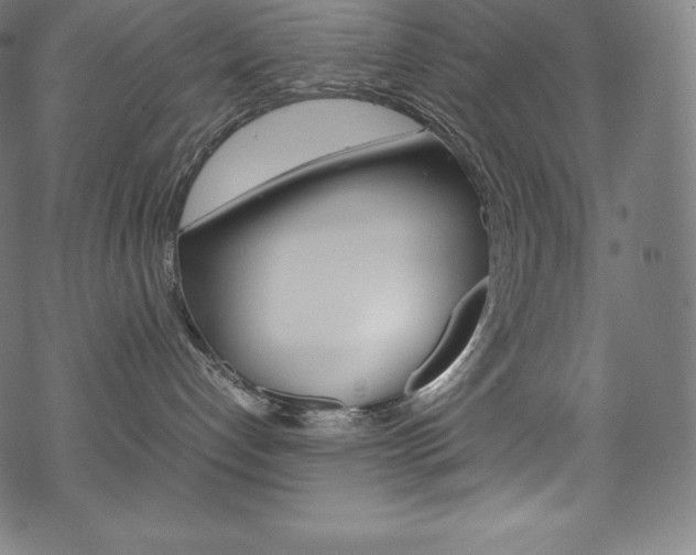 X0000070190192200605261014