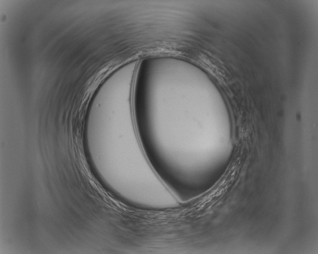 X0000070190193200605261013