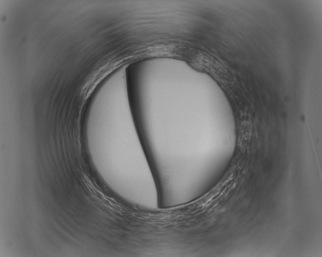 X0000070190194200605261013