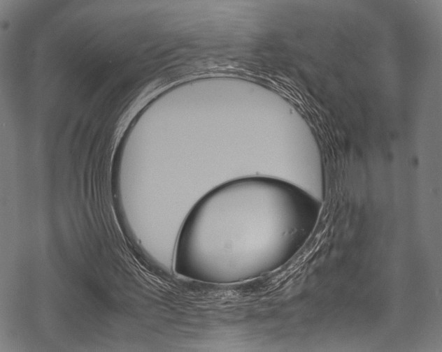 X0000070190195200605261013