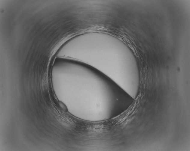 X0000070190196200605261013