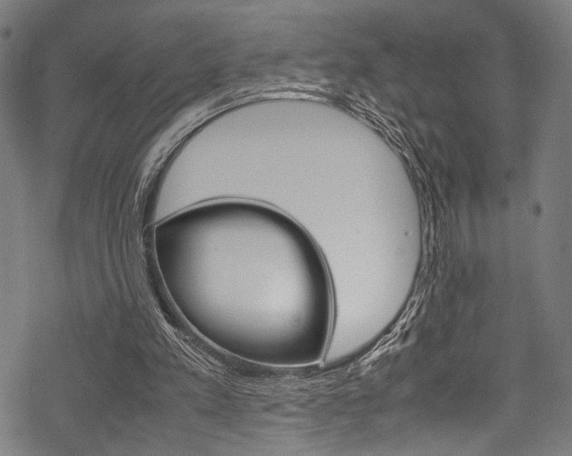 X0000070190197200605261013