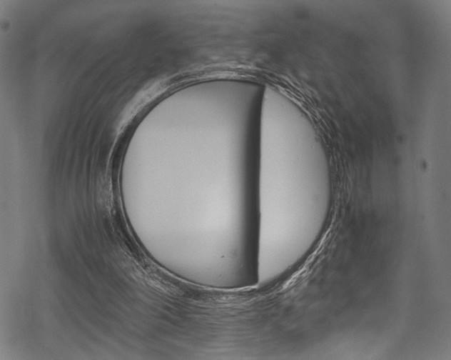 X0000070190198200605261013