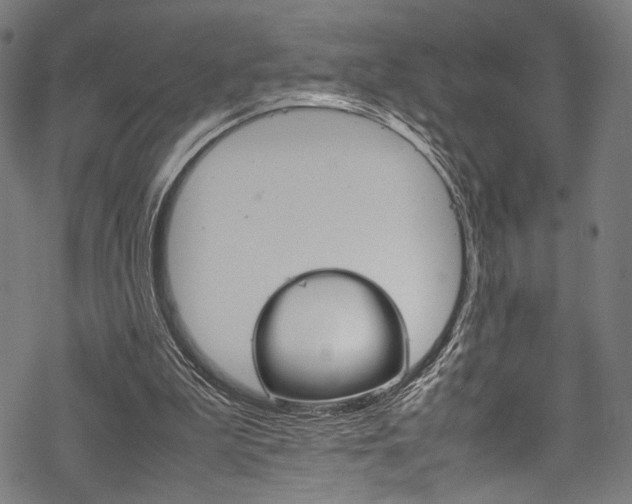 X0000070190199200605261013