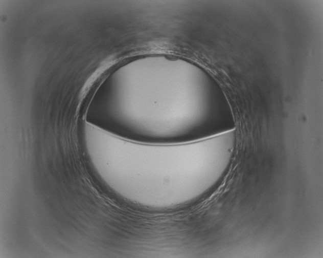 X0000070190200200605261013