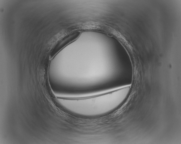 X0000070190201200605261013